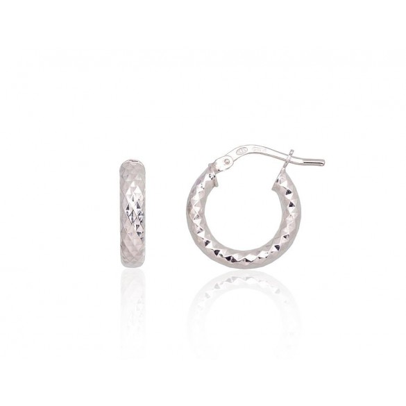 Silver earrings-rings