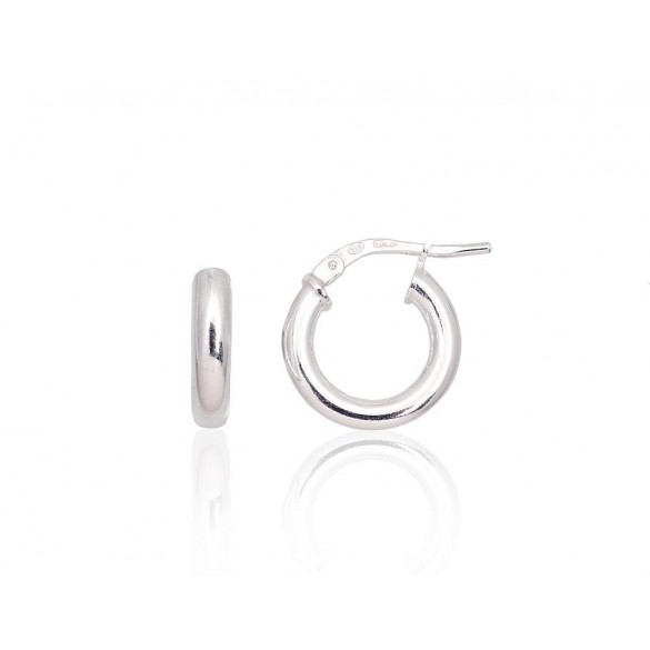 Silver earrings-rings