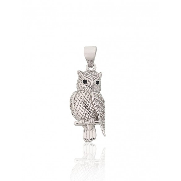 Sidabrinis pakabukas