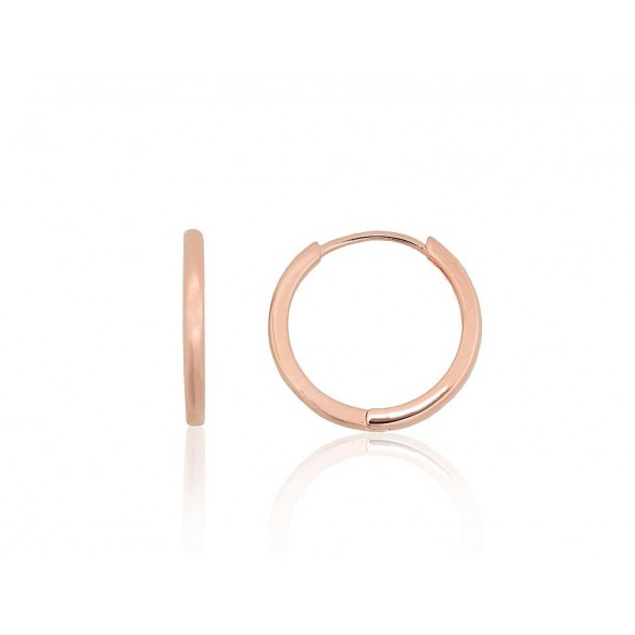 Sidabriniai auskarai su apvaliu segtuku