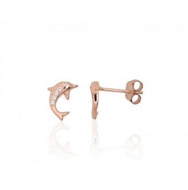 Sidabriniai auskarai –pusetai0