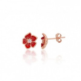 Sidabriniai auskarai –pusetai0