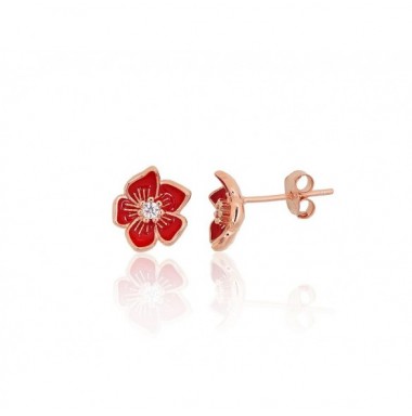 Sidabriniai auskarai –pusetai0