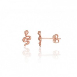 Auksiniai auskarai –pusetai0