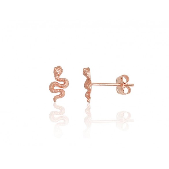 Zelta auskari-puseti