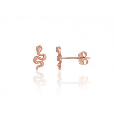 Auksiniai auskarai –pusetai0