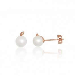 Auksiniai auskarai –pusetai0