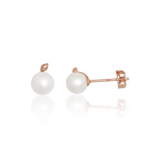 Gold classic studs earrings
