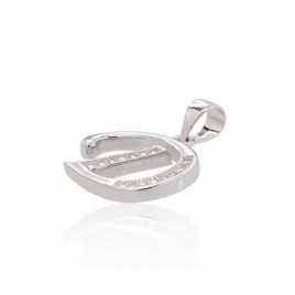 Sidabrinis pakabukas1