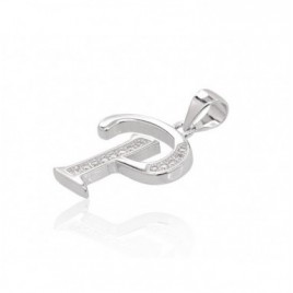 Sidabrinis pakabukas1