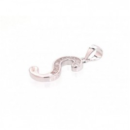 Sidabrinis pakabukas1