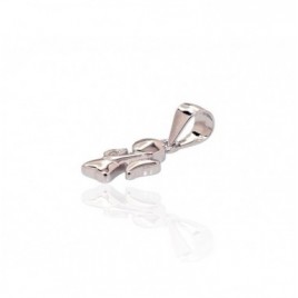 Sidabrinis pakabukas1