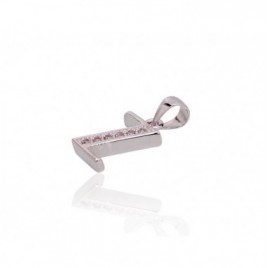 Sidabrinis pakabukas1