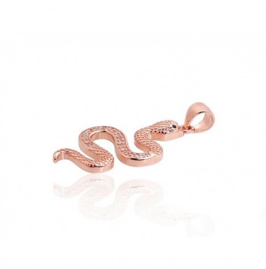 Sidabrinis pakabukas1