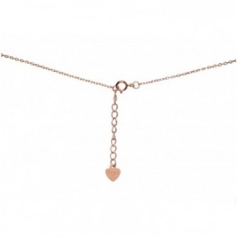 Sidabrinis vėrinys1