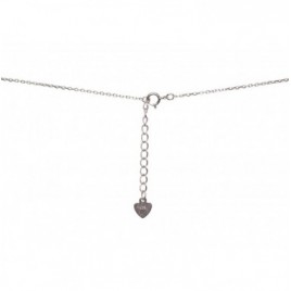 Sidabrinis vėrinys1