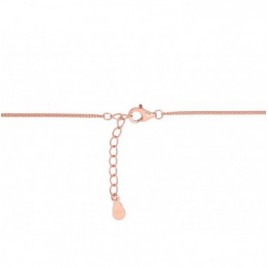 Sidabrinis vėrinys1