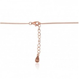 Sidabrinis vėrinys1