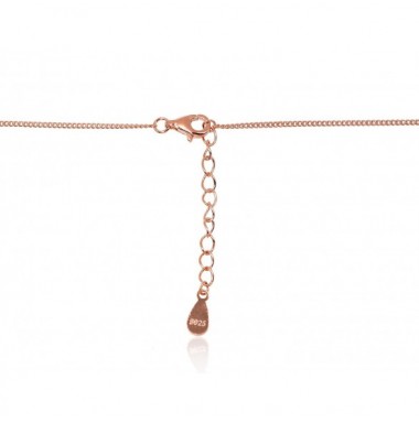 Sidabrinis vėrinys1