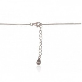 Sidabrinis vėrinys1