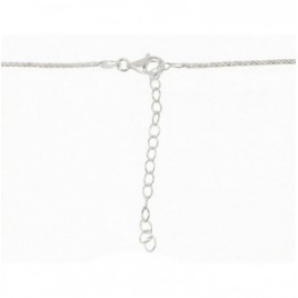 Sidabrinis vėrinys1