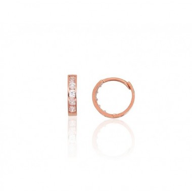 Auksiniai auskarai su apvaliu segtuku0