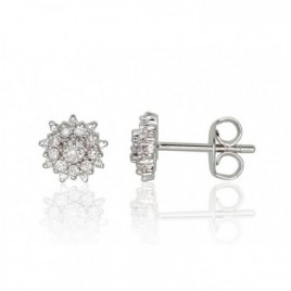 Auksiniai auskarai –pusetai0