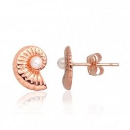 Auksiniai auskarai –pusetai0