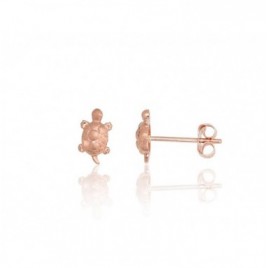 Auksiniai auskarai –pusetai0