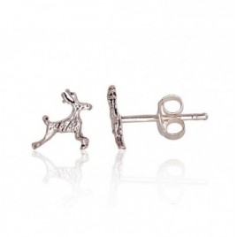 Sidabriniai auskarai –pusetai0