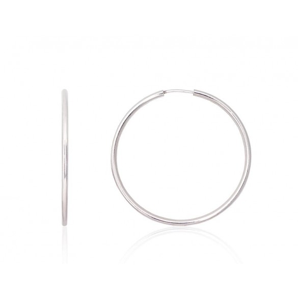 Silver earrings-rings