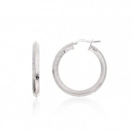 Sidabriniai auskarai –žiedai0