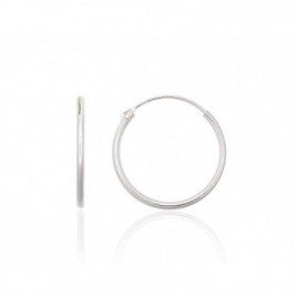 Sidabriniai auskarai –žiedai0