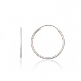 Sidabriniai auskarai –žiedai0