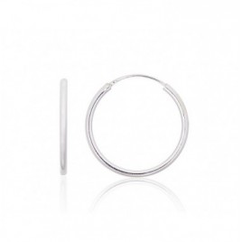 Sidabriniai auskarai –žiedai0