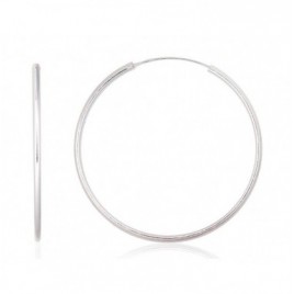 Sidabriniai auskarai –žiedai0