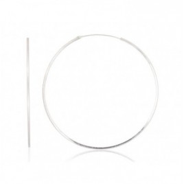 Sidabriniai auskarai –žiedai0