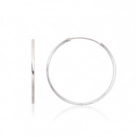 Sidabriniai auskarai –žiedai0