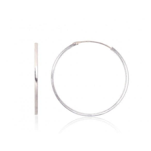 Sudraba auskari-riņķīši