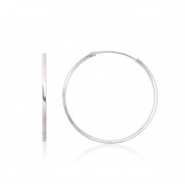 Sudraba auskari-riņķīši