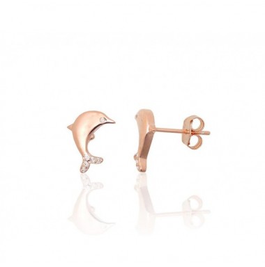 Sidabriniai auskarai –pusetai0