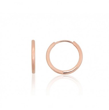 Sudraba auskari ar apaļu aizdāri