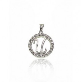 Sidabrinis pakabukas0