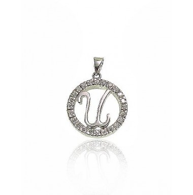 Sidabrinis pakabukas0