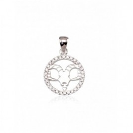 Sidabrinis pakabukas0