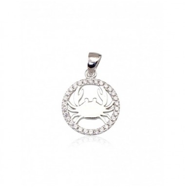 Sidabrinis pakabukas0