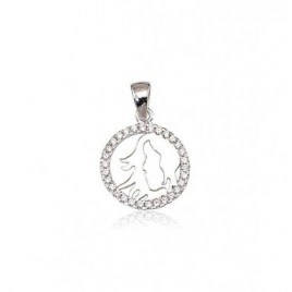 Sidabrinis pakabukas0