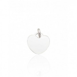 Sidabrinis pakabukas0