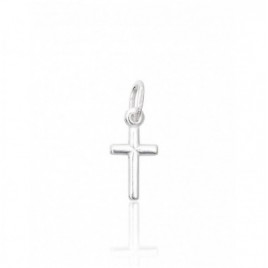 Sidabrinis pakabukas0