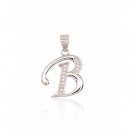 Sidabrinis pakabukas0